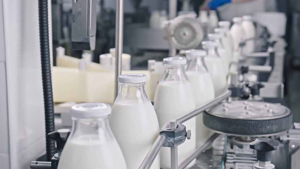 Dairy production planning optimisation