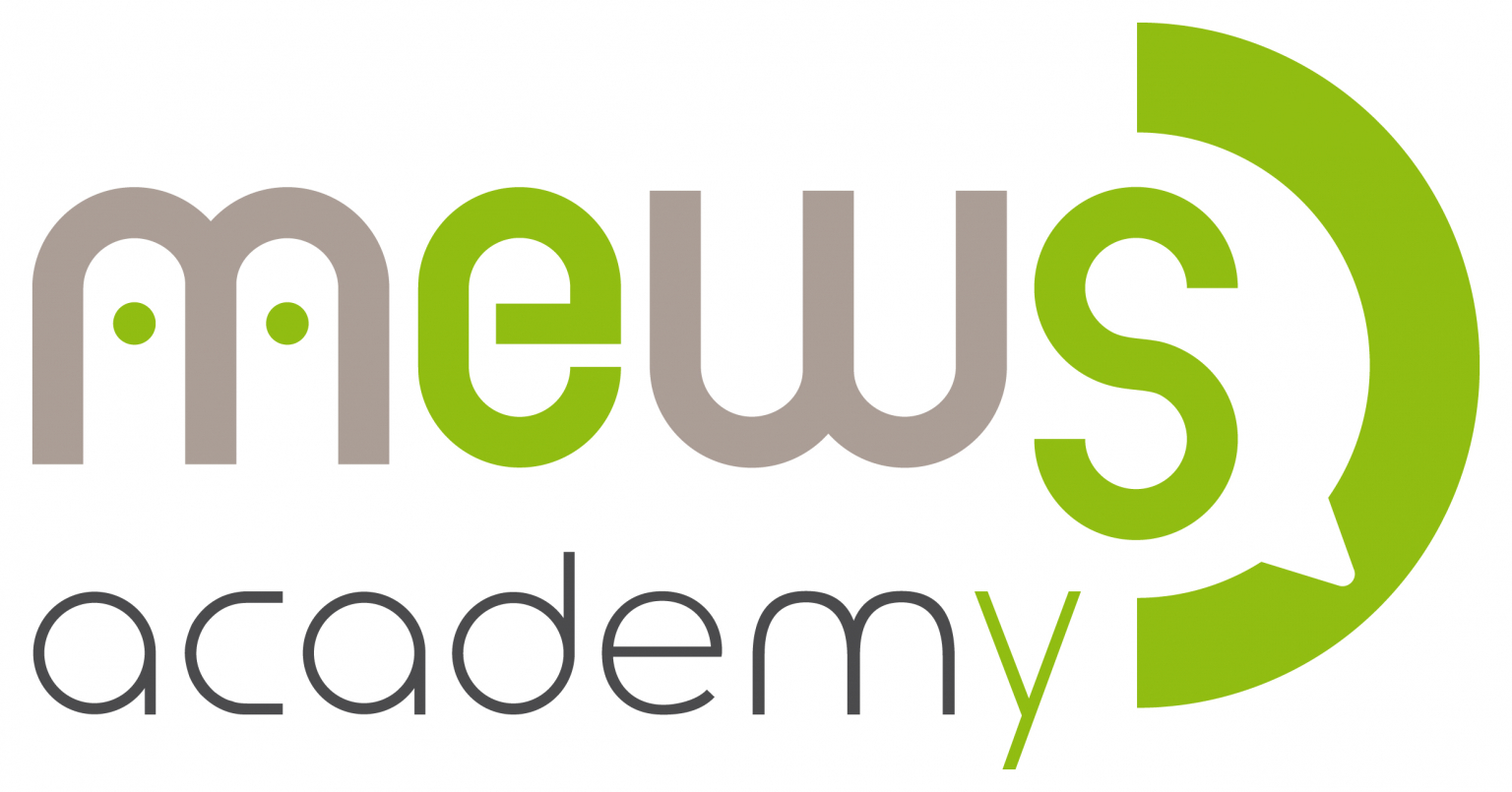 Our consulting offering mews partners