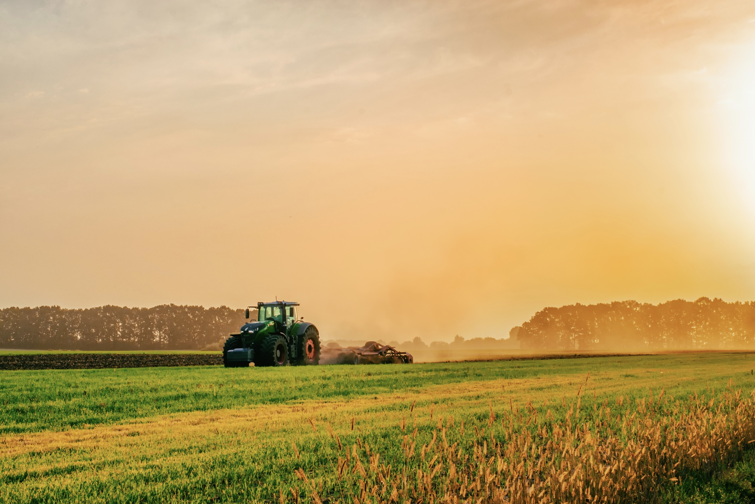 Consumer Goods & Agroalimentaire - cabinet de conseil