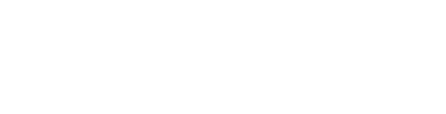 home page expert consulting