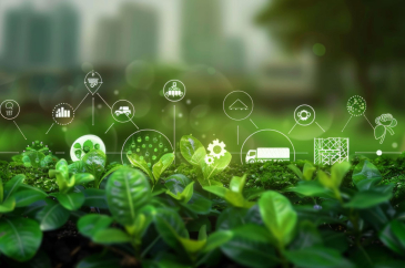 green supply chain data ia