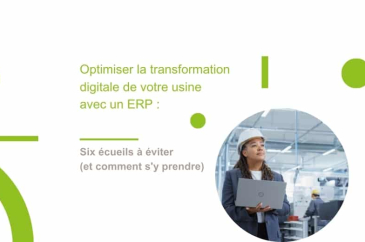 ebook erp
